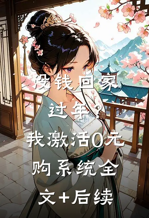 没钱回家过年？我激活0元购系统全文+后续
