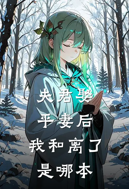 夫君娶平妻后，我和离了是哪本