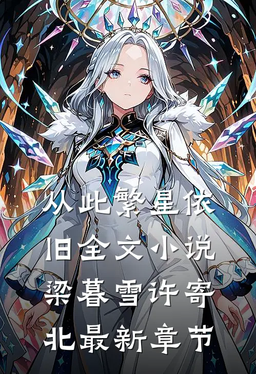 从此繁星依旧全文小说梁暮雪许寄北最新章节