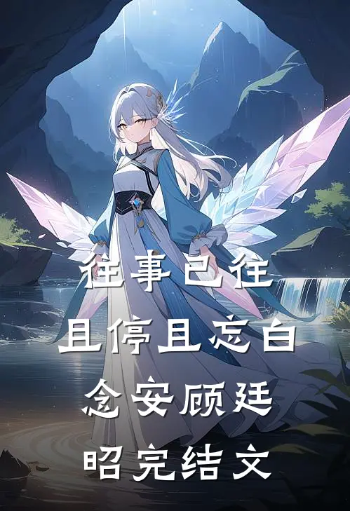 往事已往，且停且忘白念安顾廷昭完结文