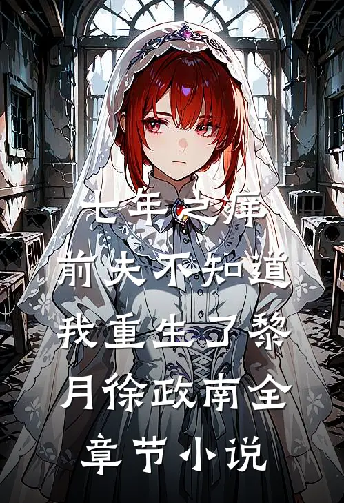 七年之痒，前夫不知道我重生了黎月徐政南全章节小说