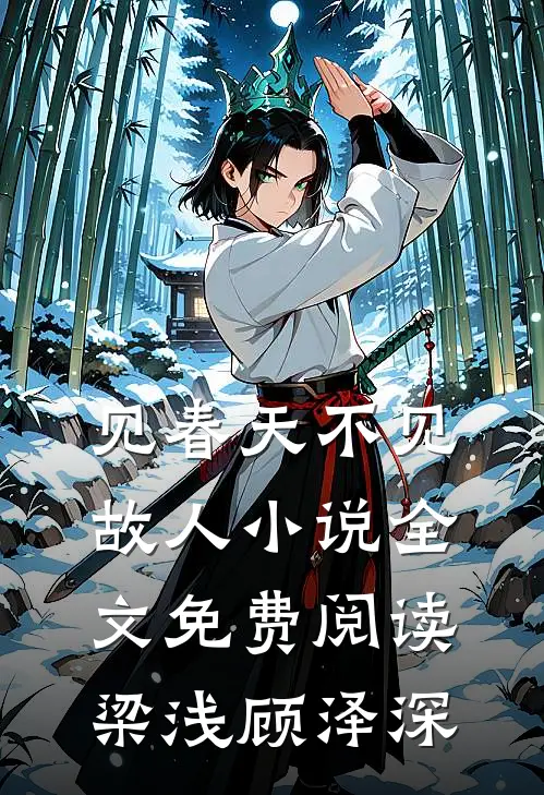 见春天不见故人小说全文免费阅读梁浅顾泽深