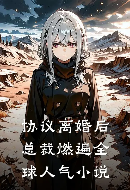 协议离婚后，总裁燃遍全球人气小说