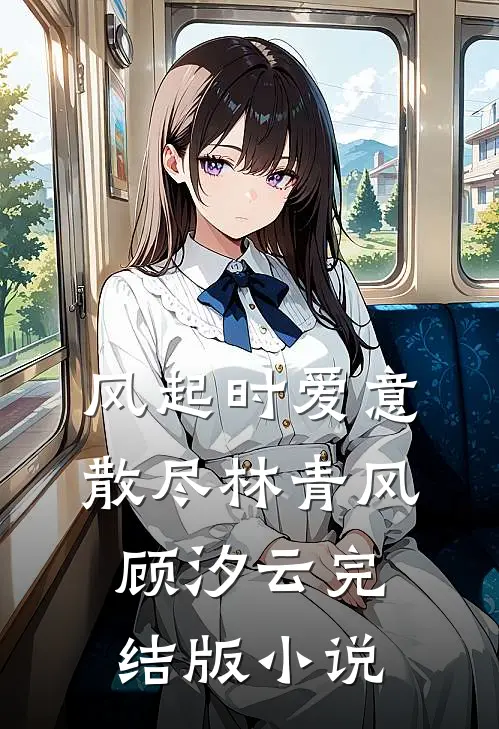 风起时爱意散尽林青风顾汐云完结版小说