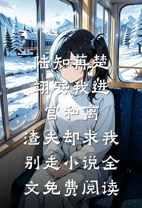 陆知苒楚翊安我进宫和离，渣夫却求我别走小说全文免费阅读