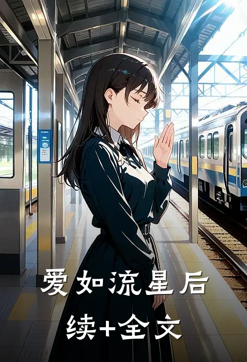 爱如流星后续+全文