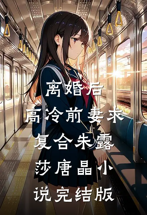 离婚后，高冷前妻求复合朱露莎唐晶小说完结版