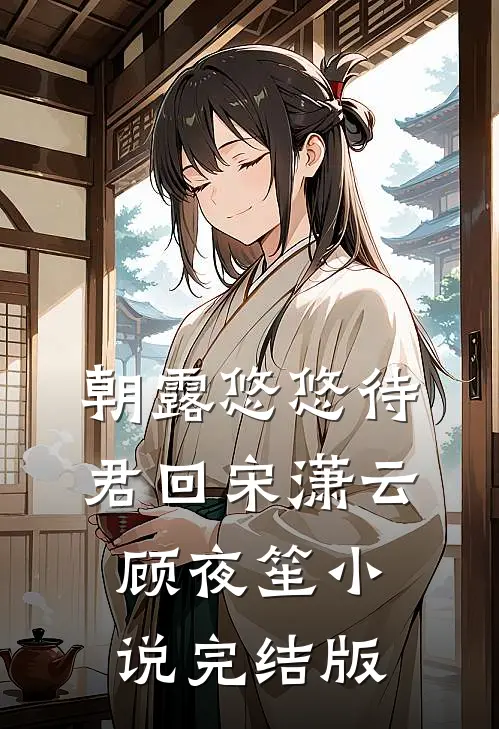 朝露悠悠待君回宋潇云顾夜笙小说完结版