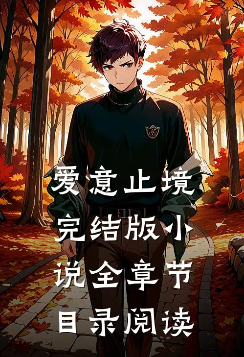 爱意止境完结版小说全章节目录阅读