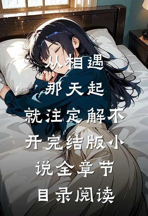 从相遇那天起，就注定解不开完结版小说全章节目录阅读