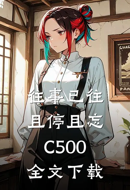 往事已往，且停且忘C500全文下载