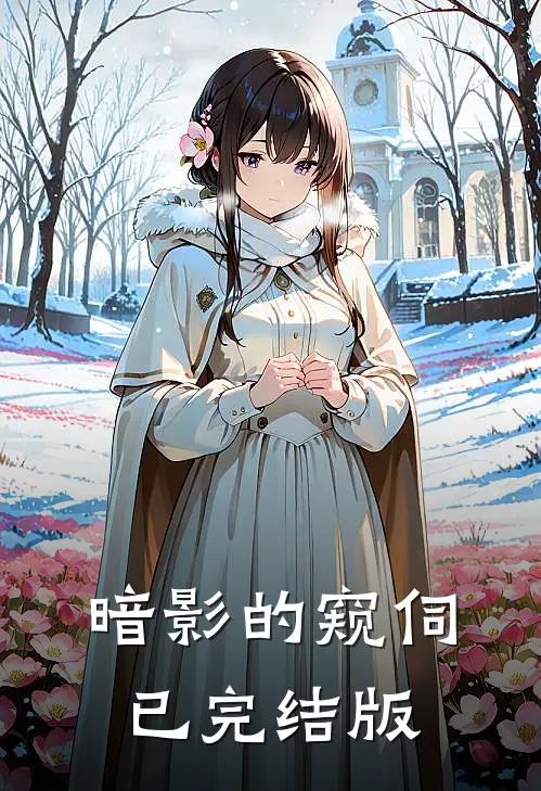 暗影的窥伺已完结版