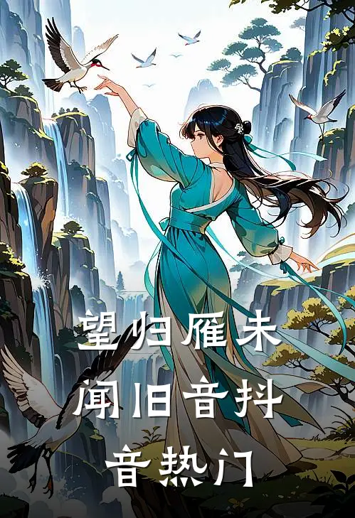 望归雁未闻旧音抖音热门