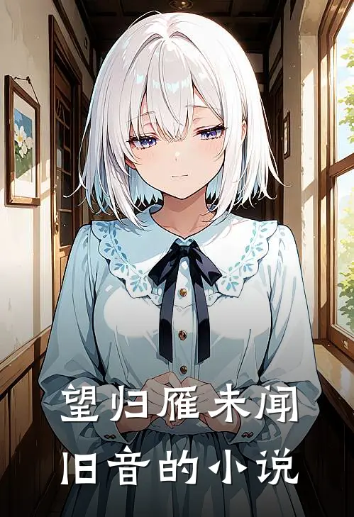 望归雁未闻旧音的小说