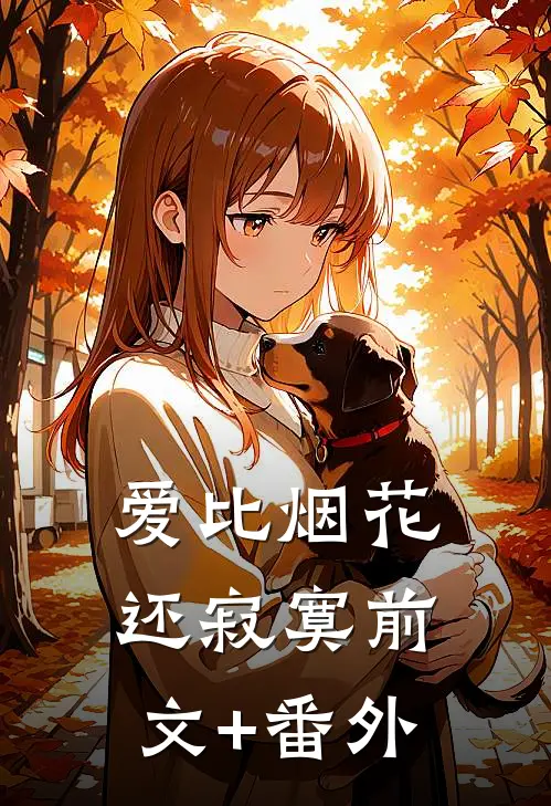 爱比烟花还寂寞前文+番外