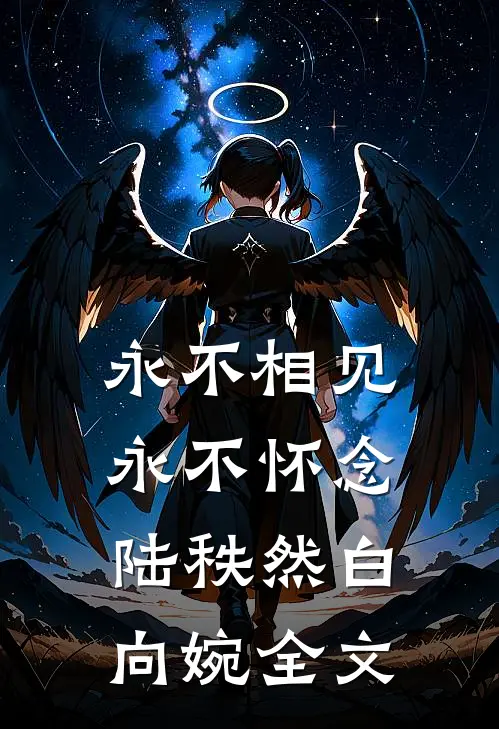 永不相见，永不怀念陆秩然白向婉全文