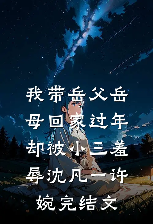 我带岳父岳母回家过年，却被小三羞辱沈凡一许婉完结文