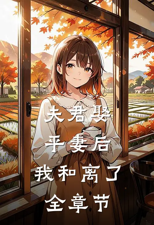 夫君娶平妻后，我和离了全章节