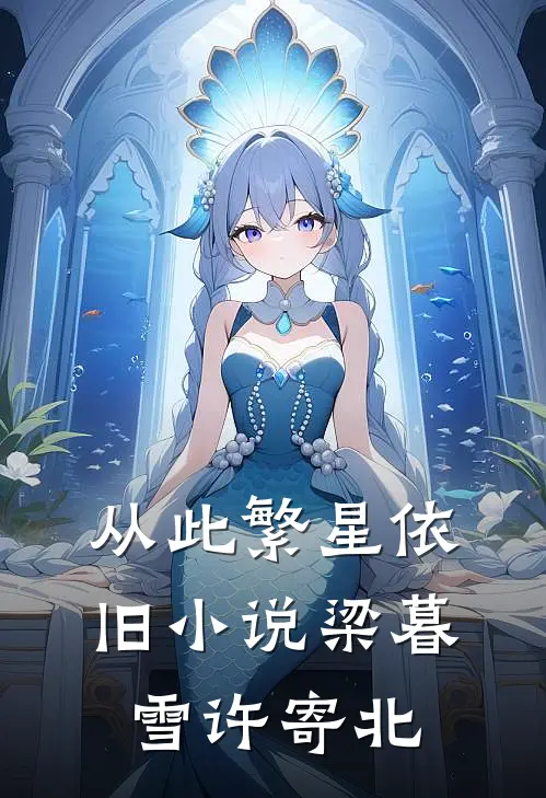 从此繁星依旧小说梁暮雪许寄北