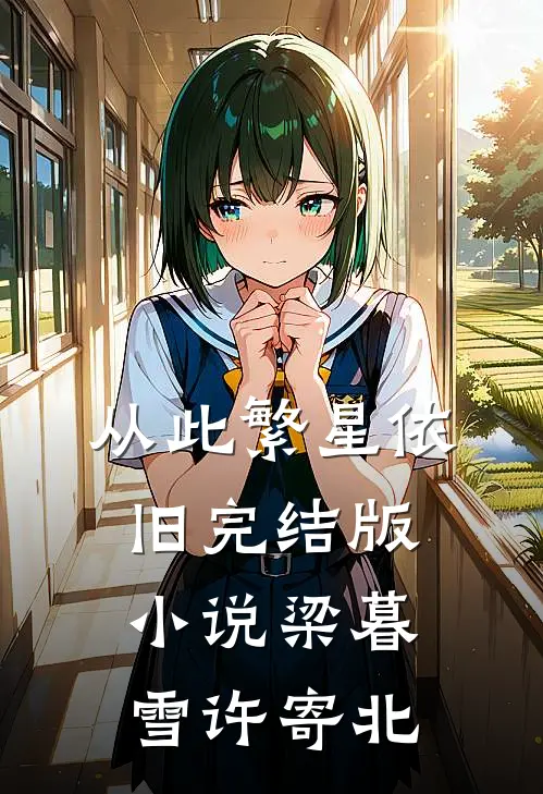 从此繁星依旧完结版小说梁暮雪许寄北