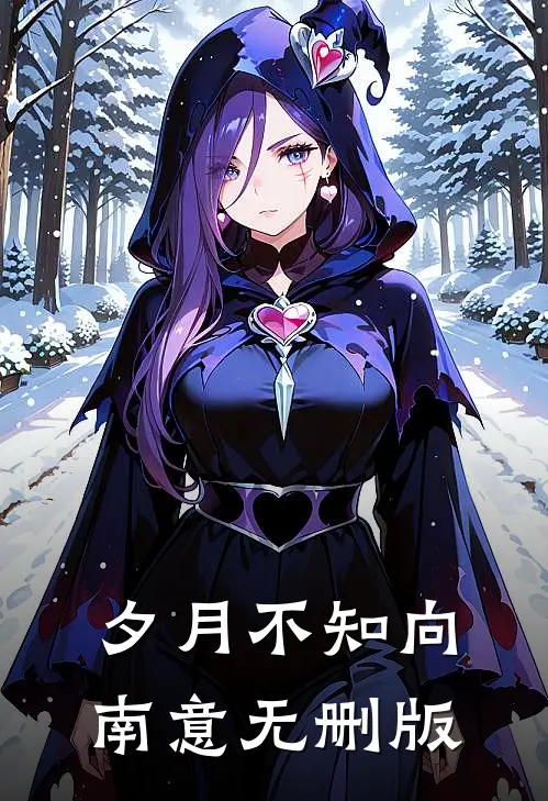 夕月不知向南意无删版