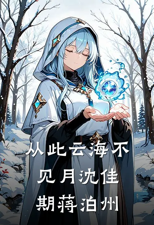 从此云海不见月(沈佳期蒋泊州)