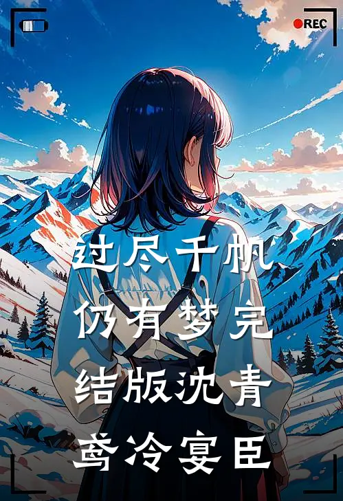 过尽千帆仍有梦完结版沈青鸢冷宴臣