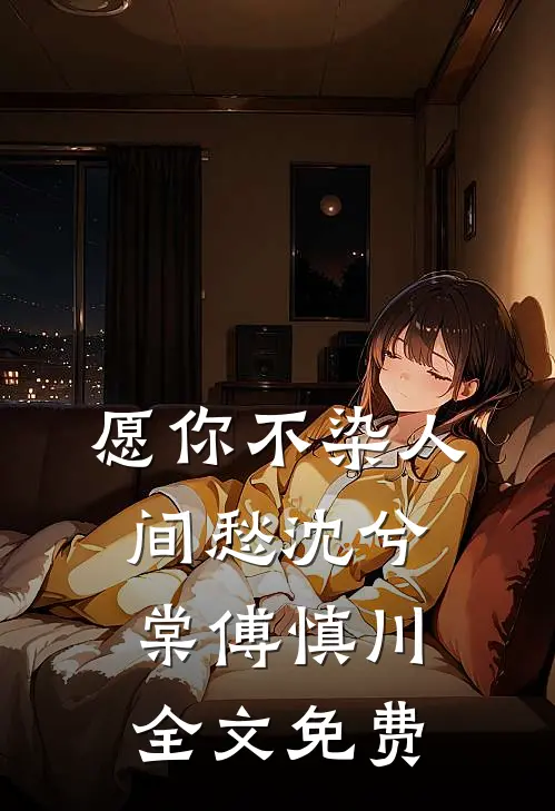 愿你不染人间愁沈兮棠傅慎川全文免费