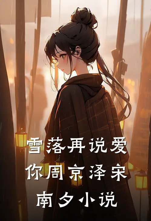 雪落再说爱你周京泽宋南夕小说