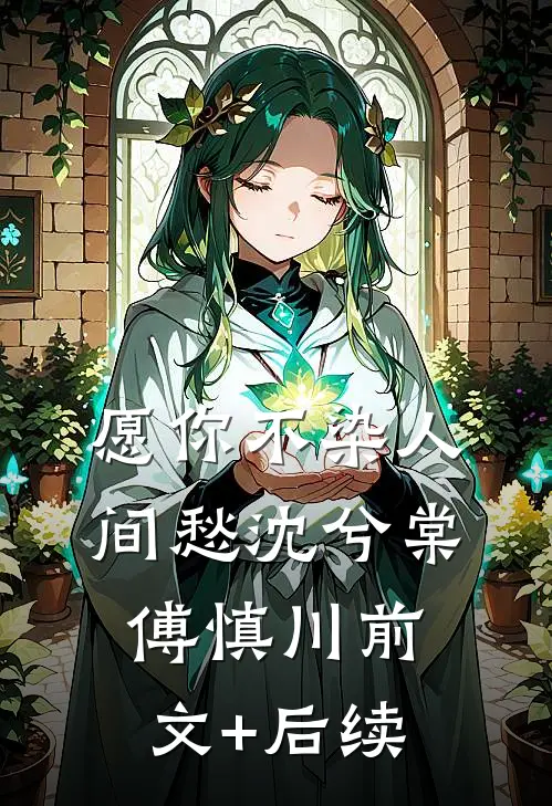 愿你不染人间愁沈兮棠傅慎川前文+后续