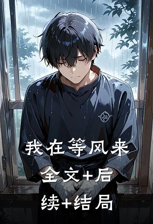 我在等风来全文+后续+结局