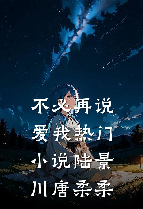 不必再说爱我热门小说陆景川唐柔柔