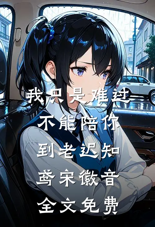 我只是难过不能陪你到老迟知鸢宋徽音全文免费