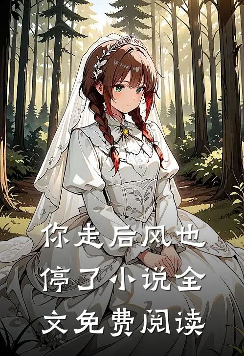 你走后风也停了小说全文免费阅读