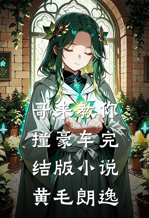 哥来教你撞豪车完结版小说黄毛朗逸