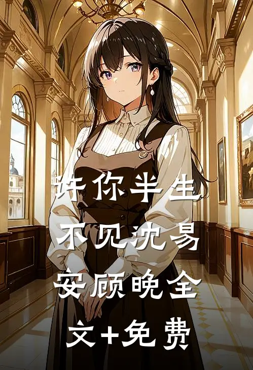 许你半生不见沈易安顾晚全文+免费