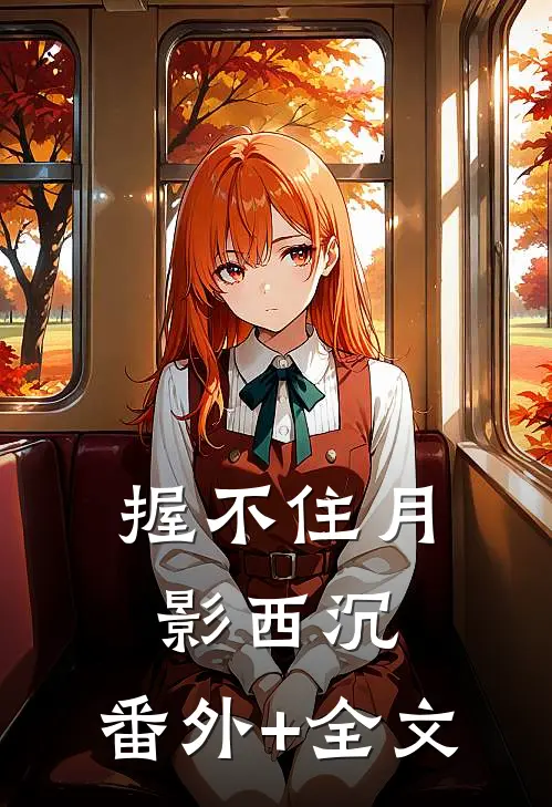 握不住月影西沉:(番外)+(全文)