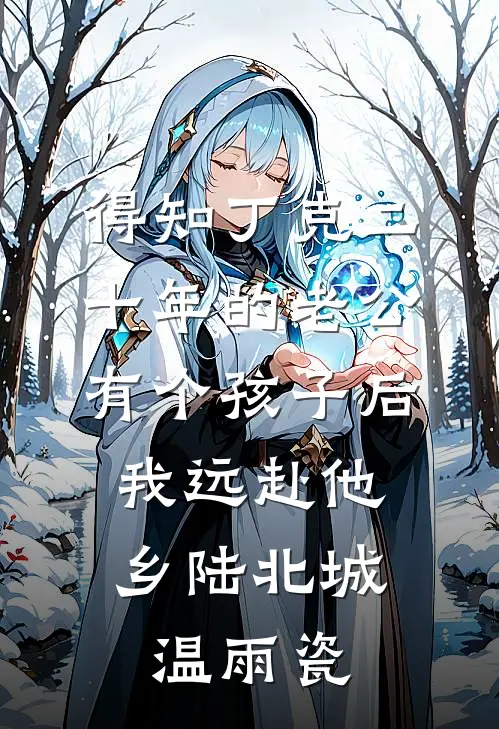 得知丁克二十年的老公有个孩子后，我远赴他乡陆北城温雨瓷