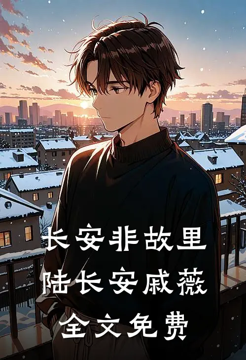 长安非故里陆长安戚薇全文免费