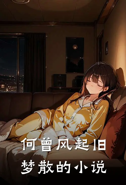 何曾风起旧梦散的小说