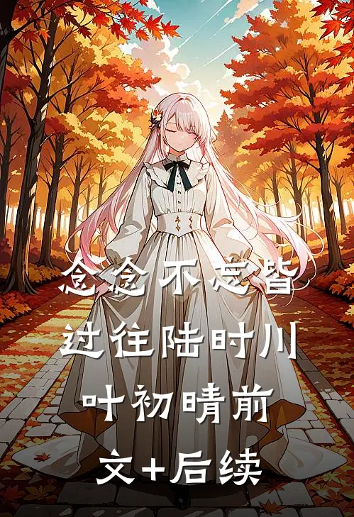 念念不忘皆过往陆时川叶初晴前文+后续