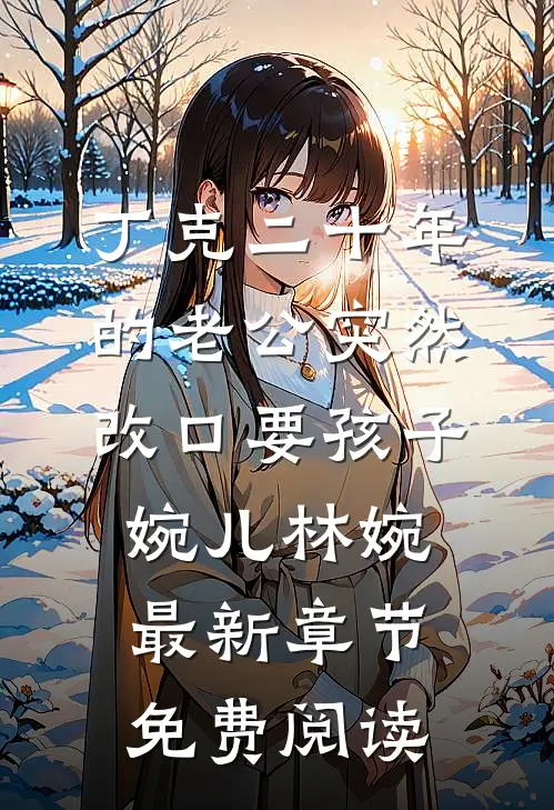 丁克二十年的老公突然改口要孩子婉儿林婉最新章节免费阅读