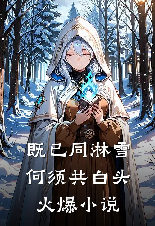 既已同淋雪，何须共白头火爆小说
