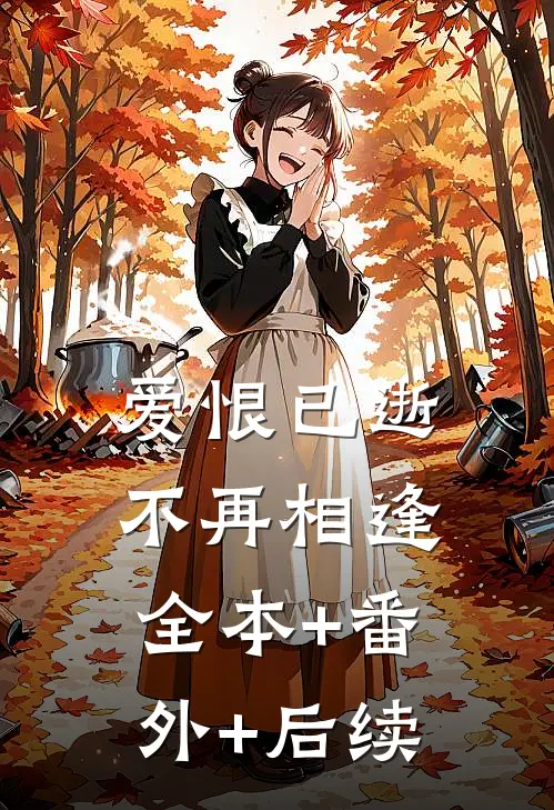 爱恨已逝，不再相逢:全本+番外+后续