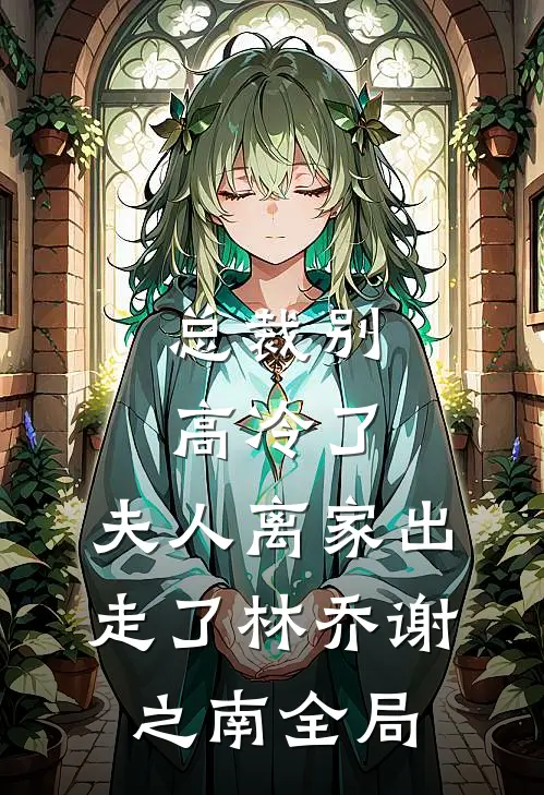 总裁别高冷了，夫人离家出走了林乔谢之南全局