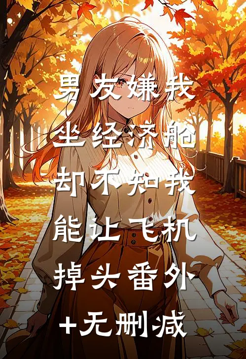 男友嫌我坐经济舱，却不知我能让飞机掉头番外+无删减