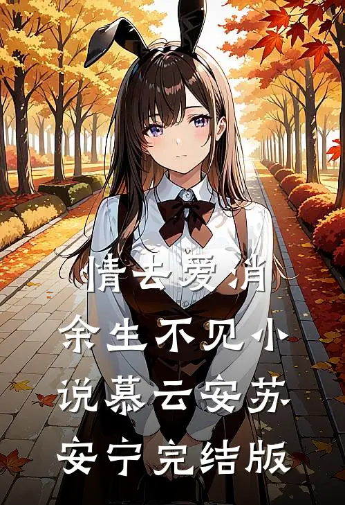 情去爱消，余生不见小说慕云安苏安宁完结版