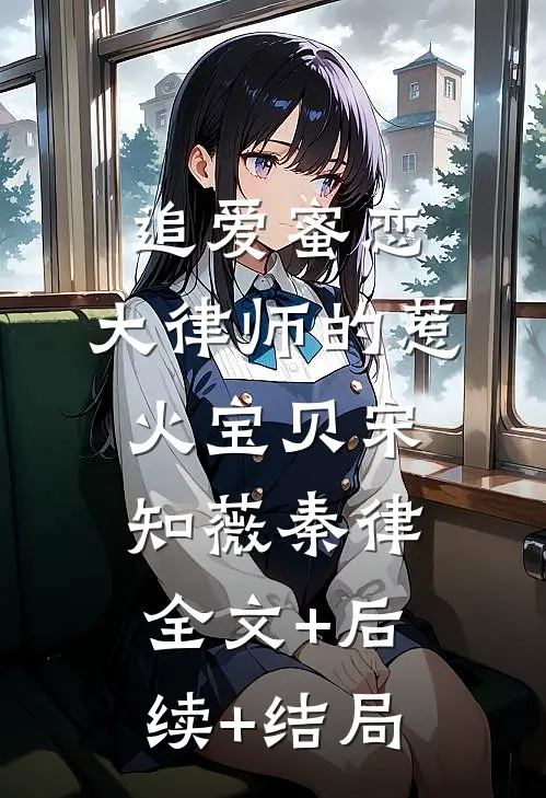 追爱蜜恋：大律师的惹火宝贝宋知薇秦律:全文+后续+结局