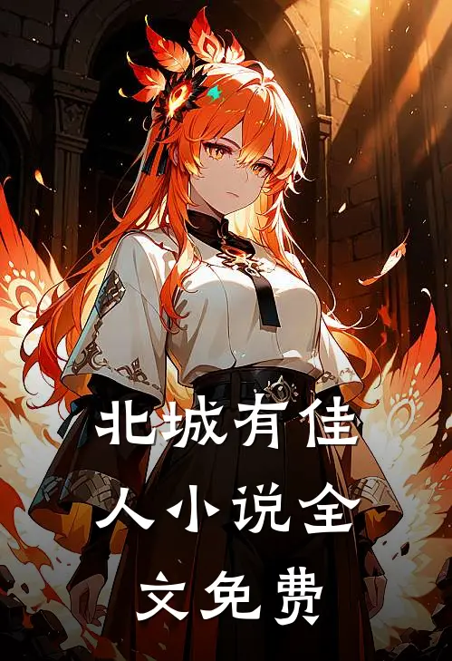北城有佳人小说全文免费