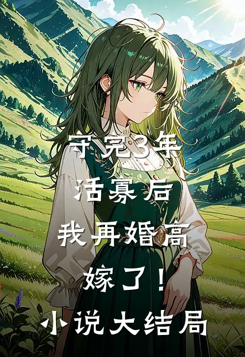 守完3年活寡后，我再婚高嫁了！小说大结局